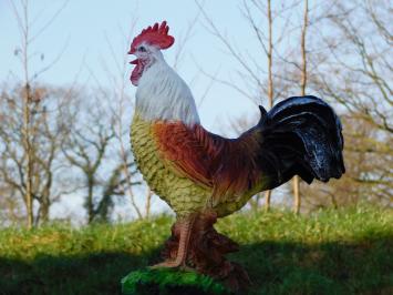Rooster in Colour - 45 cm - Polystone