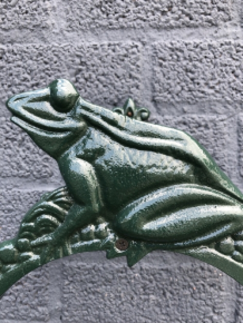 Schlauchhalterfrosch, Gusseisen grün