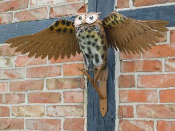 Skulptur Eule XL - Wanddekoration - Metall