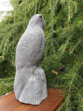 Beautiful eagle, very detailed
