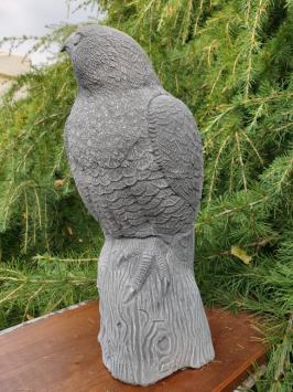 Beautiful eagle, very detailed