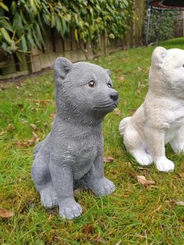 Beautiful image of a polar dog
