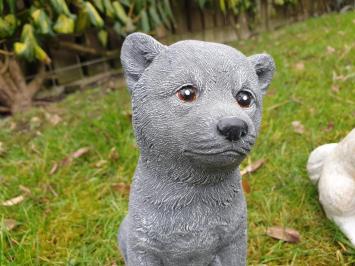 Image of a dog, arctic dog