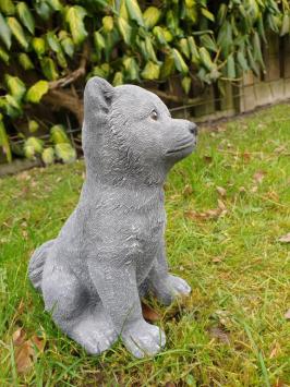 Image of a dog, arctic dog