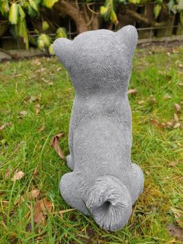 Image of a dog, arctic dog