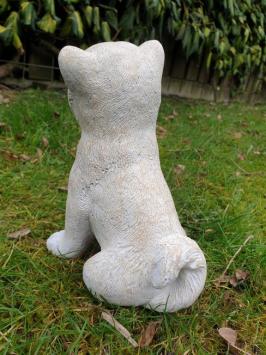 Beautiful image of a polar dog