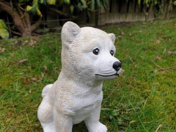 Beautiful image of a polar dog