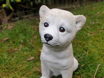 Beautiful image of a polar dog