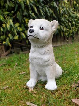 Beautiful image of a polar dog
