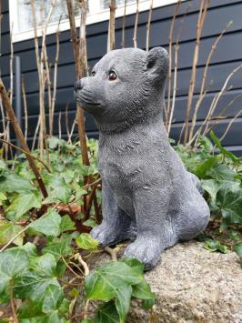 Image of a dog, arctic dog