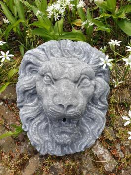 Lion's head as a gargoyle.
