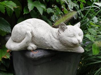 Garden statue of a cat, chintia