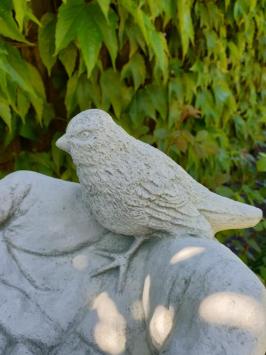 Wunderschönes Vogelhäuschen