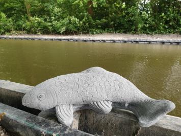 koi carp, garden statue