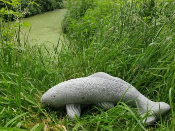 koi carp, garden statue