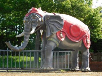 Einmalig: Elefant XXL - 340 x 400 cm - Einzigartiges Bild