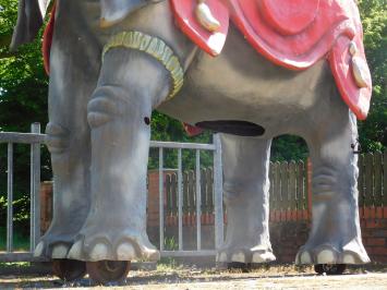 Einmalig: Elefant XXL - 340 x 400 cm - Einzigartiges Bild