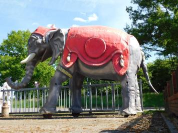 Einmalig: Elefant XXL - 340 x 400 cm - Einzigartiges Bild