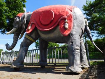 Einmalig: Elefant XXL - 340 x 400 cm - Einzigartiges Bild