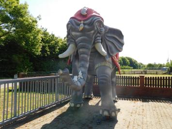 Einmalig: Elefant XXL - 340 x 400 cm - Einzigartiges Bild