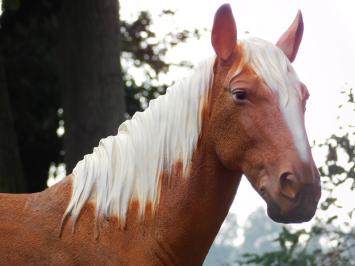 Statue Horse Blond - 110 cm - Polystone