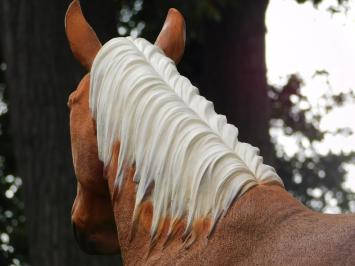 Statue Horse Blond - 110 cm - Polystone
