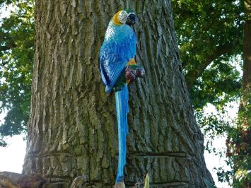 Blue Parrot XL - Cast iron - Colourful Wall Decoration
