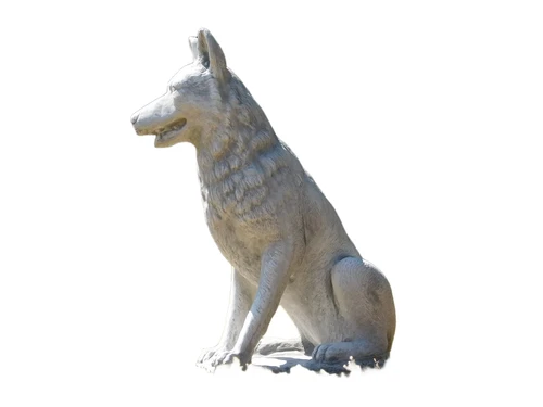 Beeld Wolf XL - 70 x 60 cm - Steen