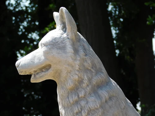 Beeld Wolf XL - 70 x 60 cm - Steen