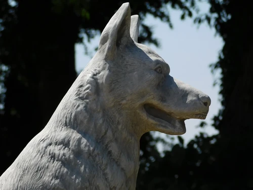 Beeld Wolf XL - 70 x 60 cm - Steen