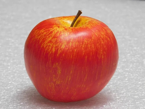 Set Kunstfruit – Appel, Peer, Citroen, Mandarijn & Sinaasappel – 5-delig