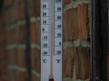 Thermometer with French lily - cast iron - frame thermometer - weatherproof