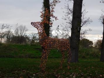 Verlicht Hert XL - 175 x 110 cm - Kerstverlichting