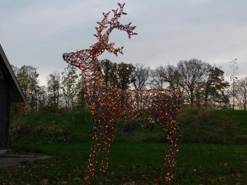 Verlicht Hert XL - 175 x 110 cm - Kerstverlichting