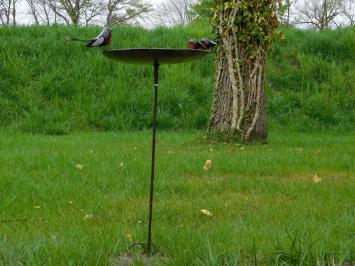 Vogelbad - Zwart met Rode Vogeltjes 2 om 1 - Tuinsteker - Metaal