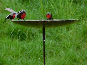 Unikat: Vogelfutterspender - Badewanne - 3 Vögel Rot Schwarz - Handgefertigt