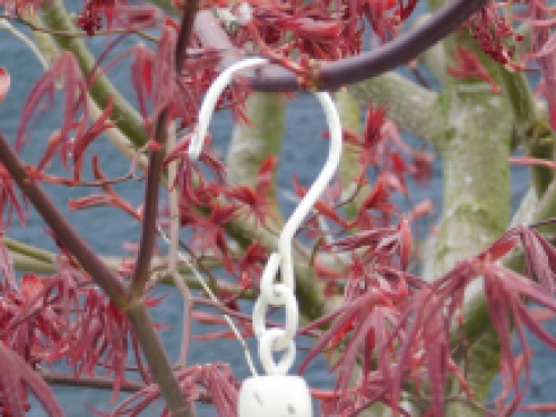 Birdcage - Large - Metal