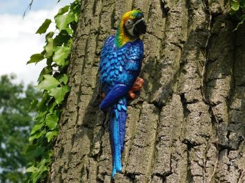 Blauwe Papegaai - Gietijzer - Wanddecoratie