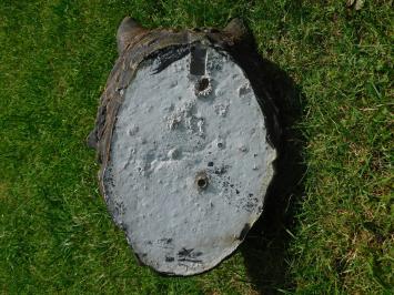 Wolfskopf mit Wasserauslauf - 45 x 35 cm - Stein